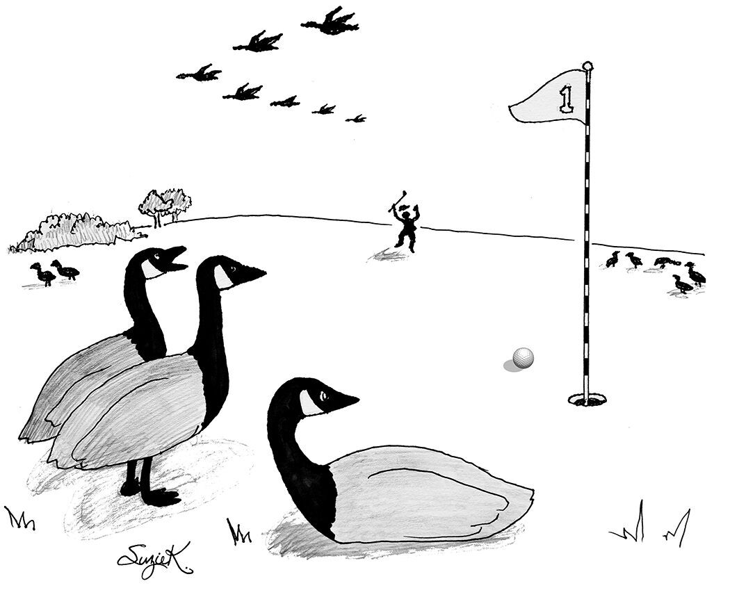 Conquering the hazards of golf